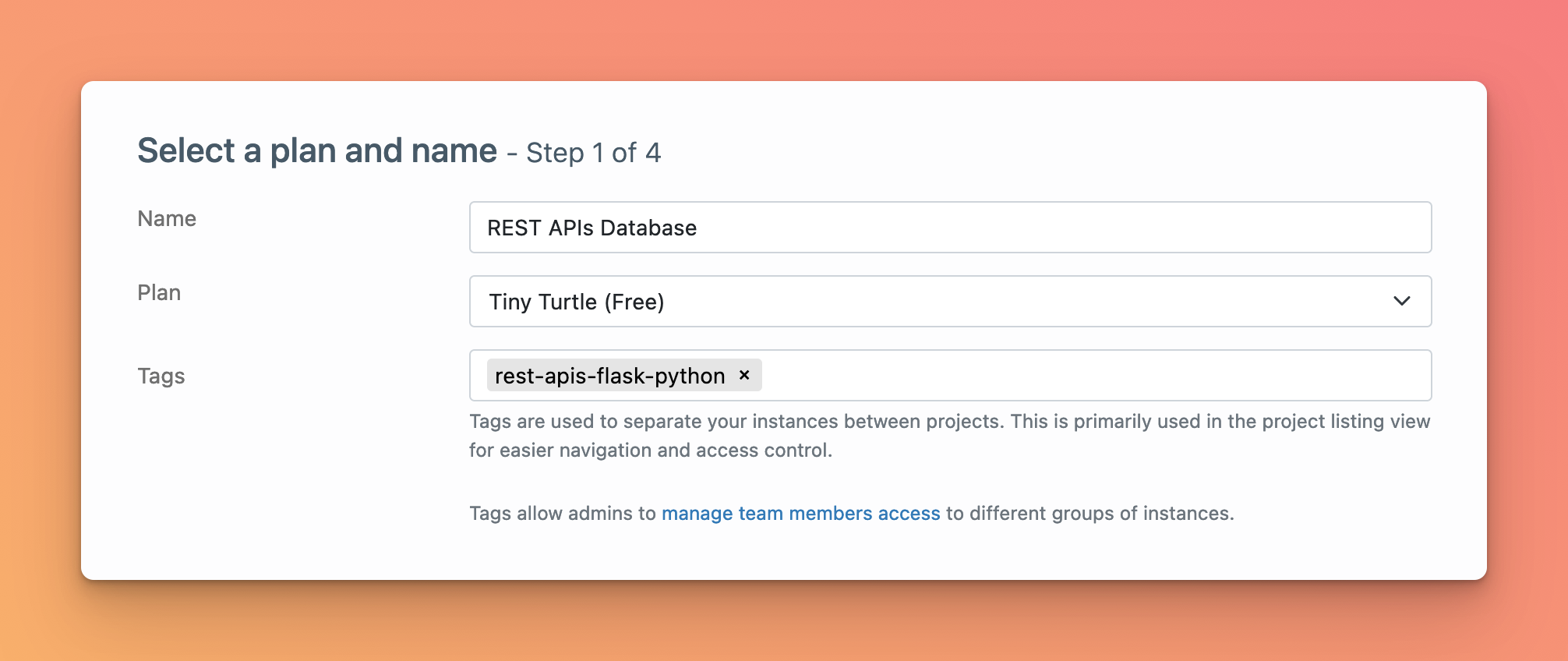 ElephantSQL screenshot showing plan configuration of Tiny Turtle (free) and name